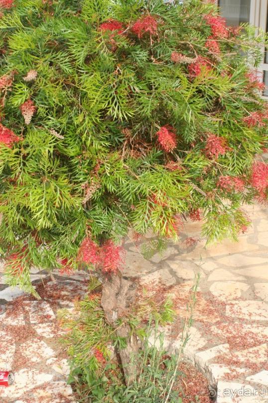 Поселок Ахарави на острове Корфу