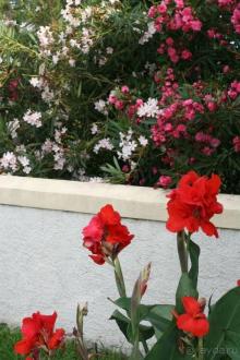 Поселок Ахарави на острове Корфу