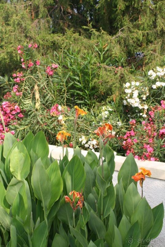 Поселок Ахарави на острове Корфу