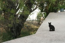 Поселок Ахарави на острове Корфу