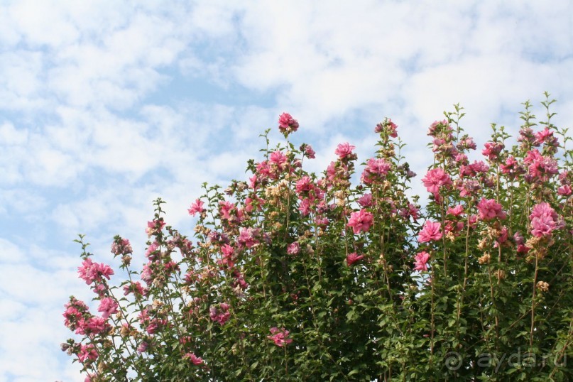 Поселок Ахарави на острове Корфу