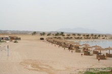 фото Coral Sun Beach