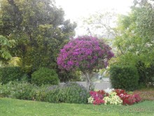 По Европе. Часть 6. Монако.