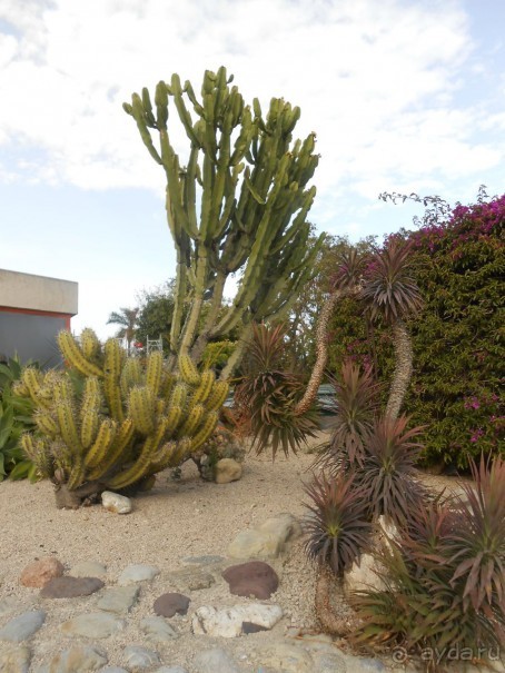 По Европе. Часть 6. Монако.