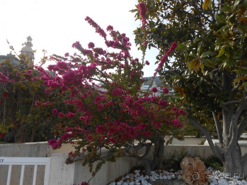 По Европе. Часть 6. Монако.