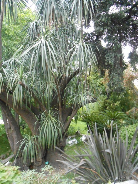 По Европе. Часть 6. Монако.