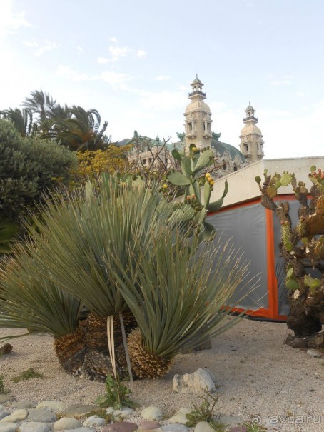 По Европе. Часть 6. Монако.