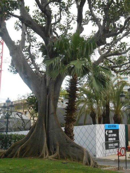 По Европе. Часть 6. Монако.