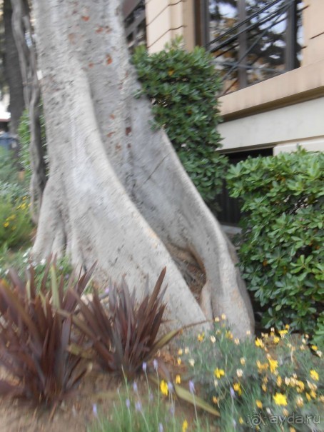 По Европе. Часть 6. Монако.