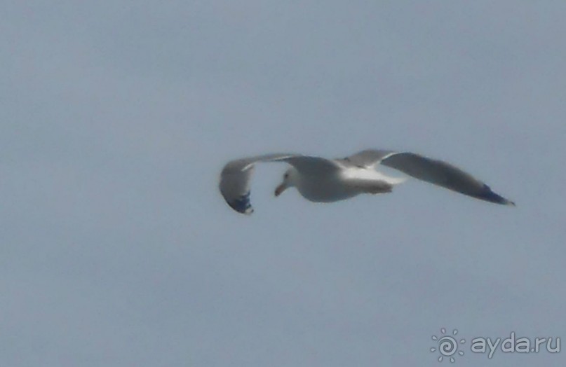 По Европе. Часть 6. Монако.