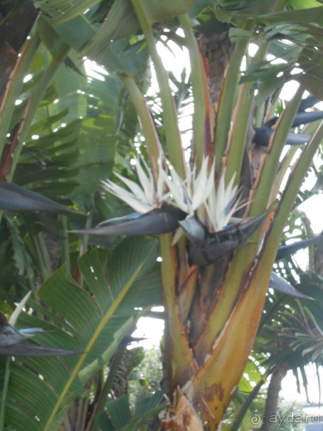 По Европе. Часть 6. Монако.