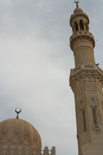 Просто фотографии