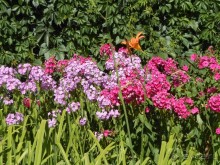 Особняк Рябушинского