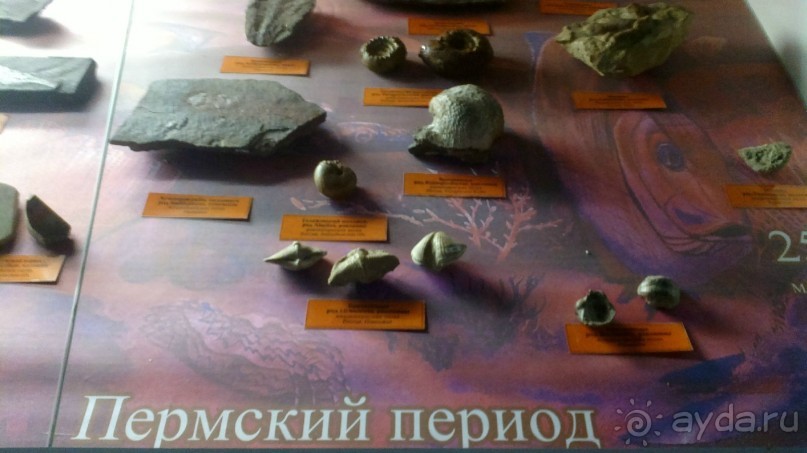 Каменные сказы Каменные сказы