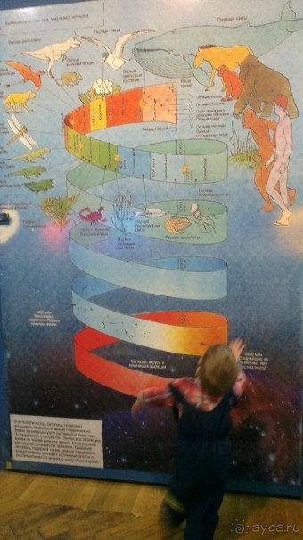 Каменные сказы Каменные сказы