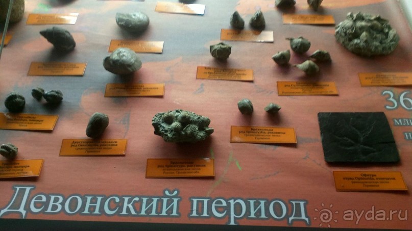 Каменные сказы Каменные сказы