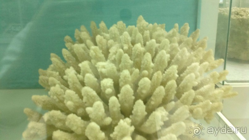 Каменные сказы Каменные сказы