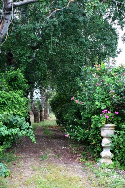 Уютный дом последней графини Закинтоса