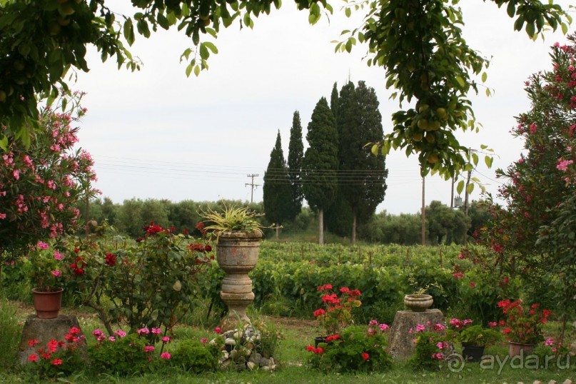 Уютный дом последней графини Закинтоса