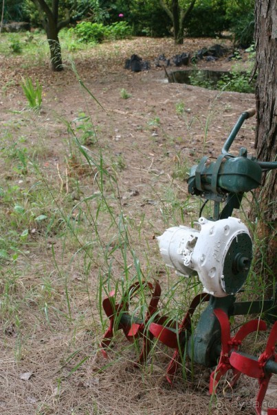 Уютный дом последней графини Закинтоса