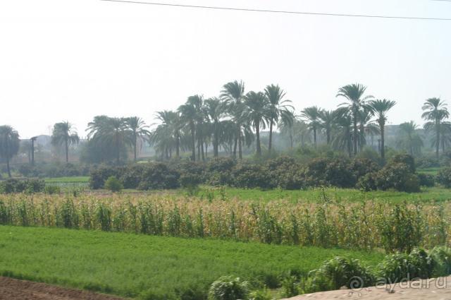 Карнакский храм