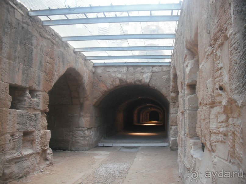 Амфитеатр древнего Тиздра