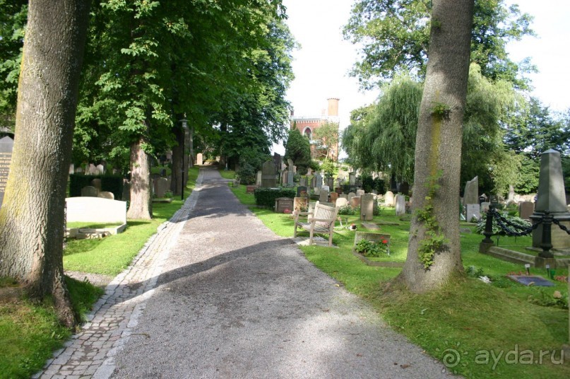 Кладбище галерной верфи