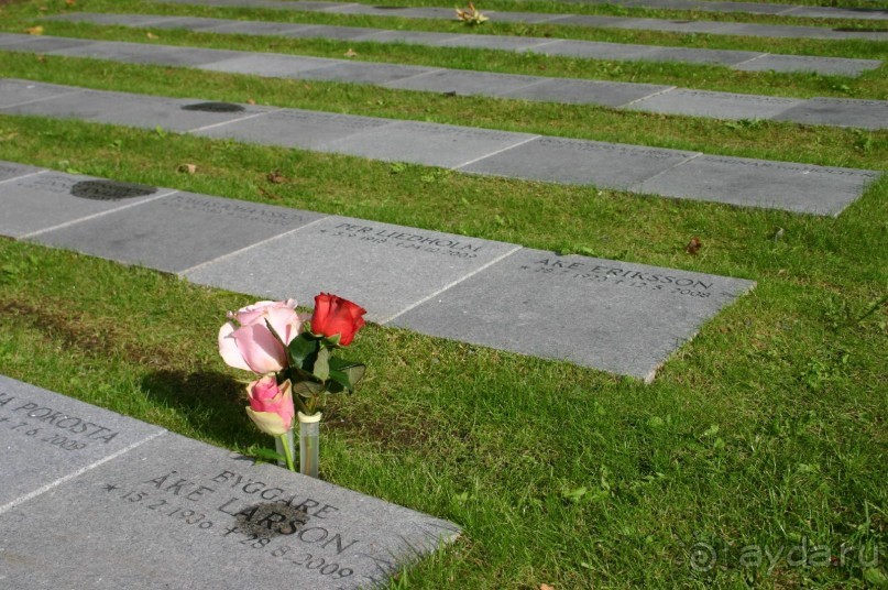 Кладбище галерной верфи