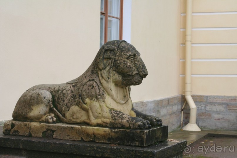 Павловск осенний