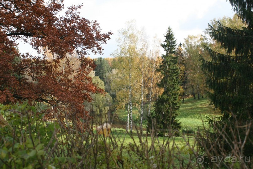 Павловск осенний