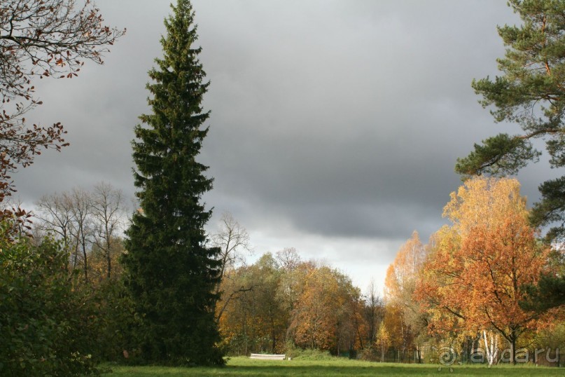 Павловск осенний