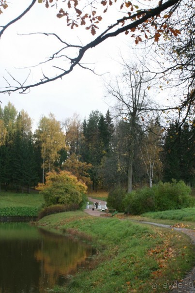 Павловск осенний