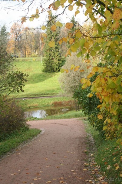 Павловск осенний