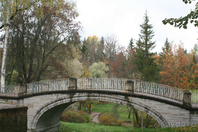 Павловск осенний