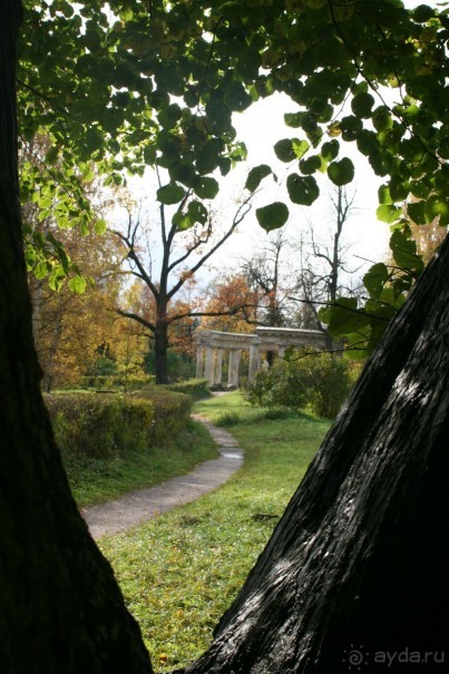 Павловск осенний