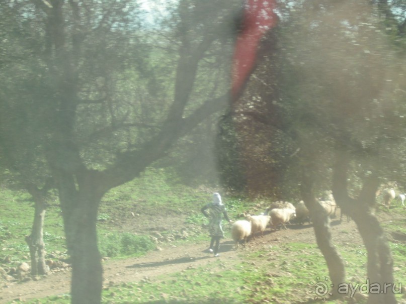 Национальный парк Ишкель