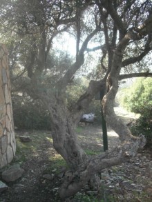 Национальный парк Ишкель