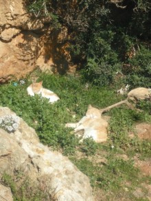 Национальный парк Ишкель