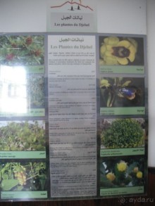 Национальный парк Ишкель