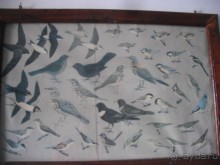 Национальный парк Ишкель