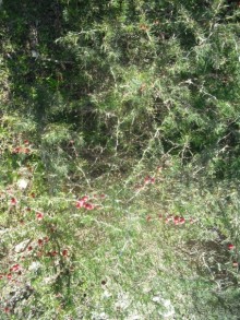 Национальный парк Ишкель