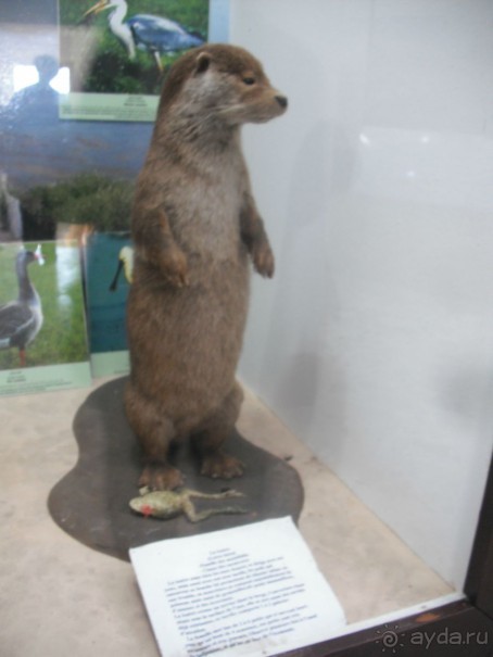 Национальный парк Ишкель