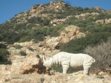 Национальный парк Ишкель