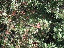 Национальный парк Ишкель