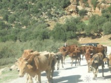 Национальный парк Ишкель