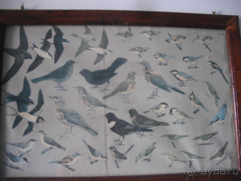 Национальный парк Ишкель