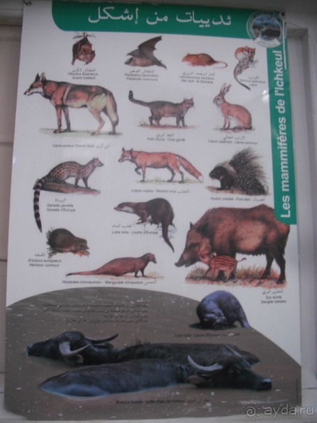 Национальный парк Ишкель