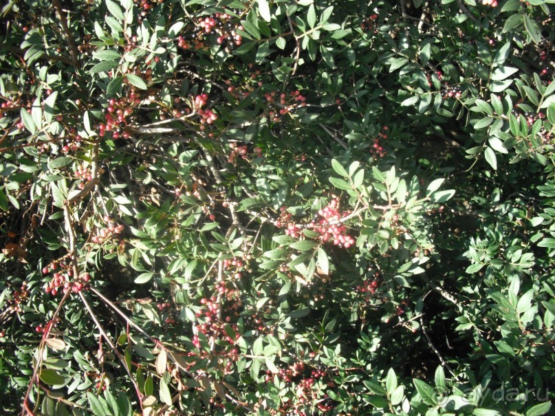 Национальный парк Ишкель