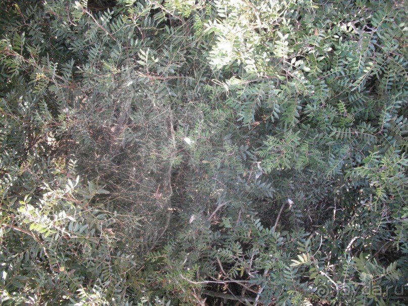 Национальный парк Ишкель