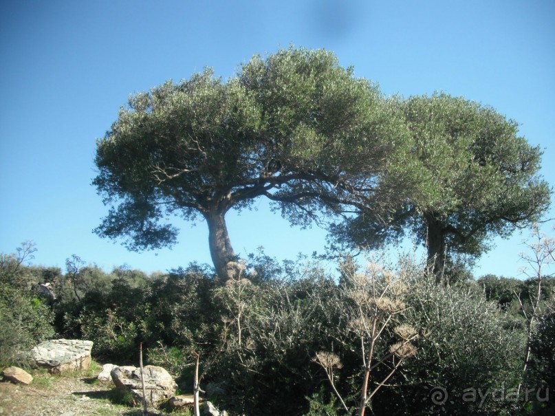 Национальный парк Ишкель